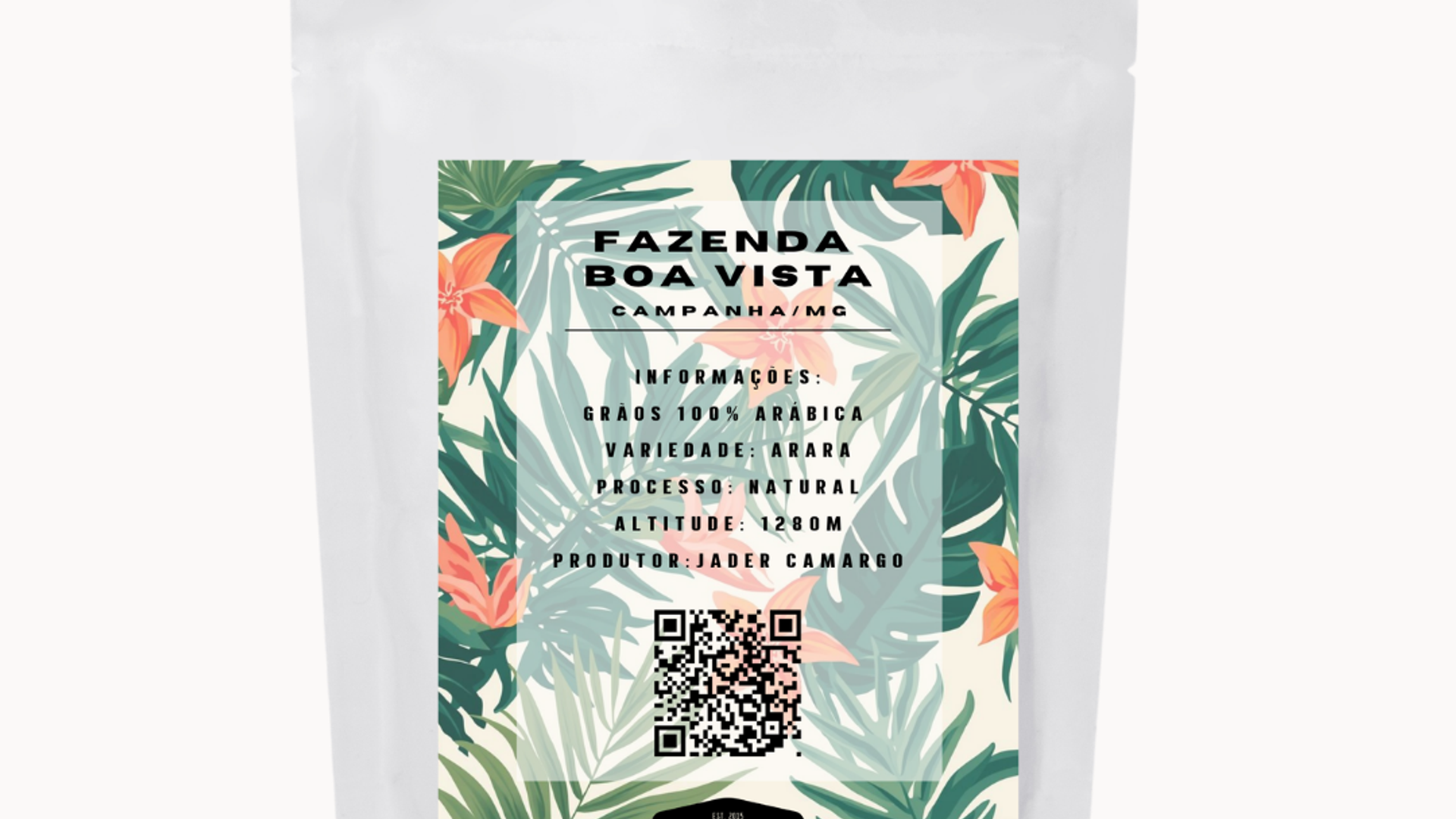 mockup boa vista